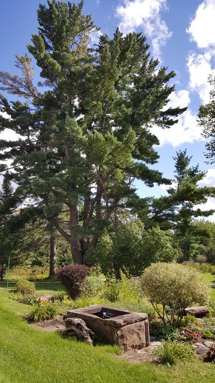 Pinehurst Inn Bed & Breakfast Bayfield Bagian luar foto