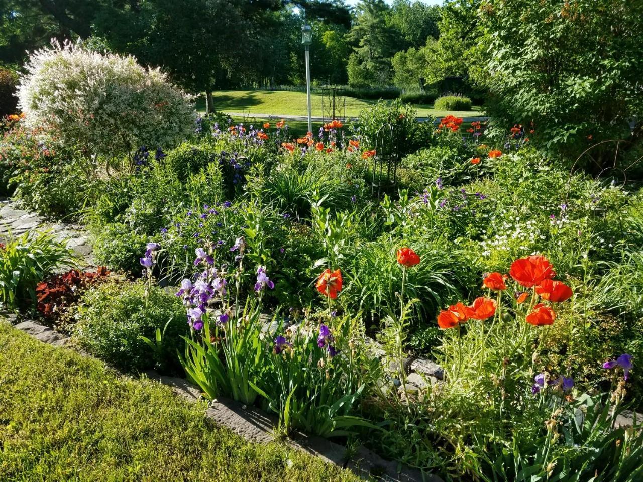 Pinehurst Inn Bed & Breakfast Bayfield Bagian luar foto